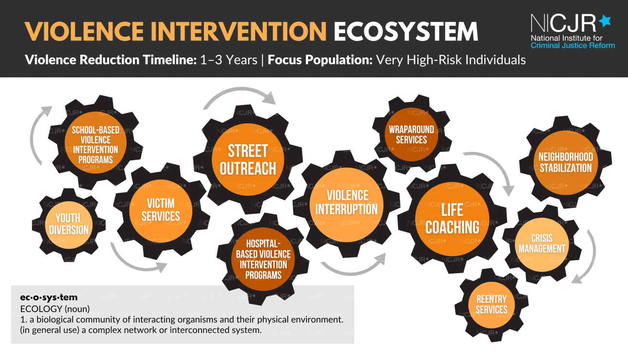 Violence_Intervention_Ecosystem_6_2026.png