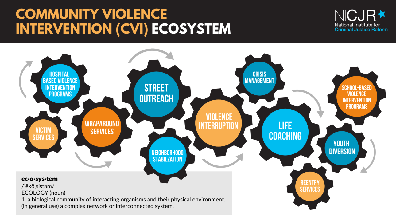 Copy_of_NICJR_CVI_Ecosystem_3_17_25.png