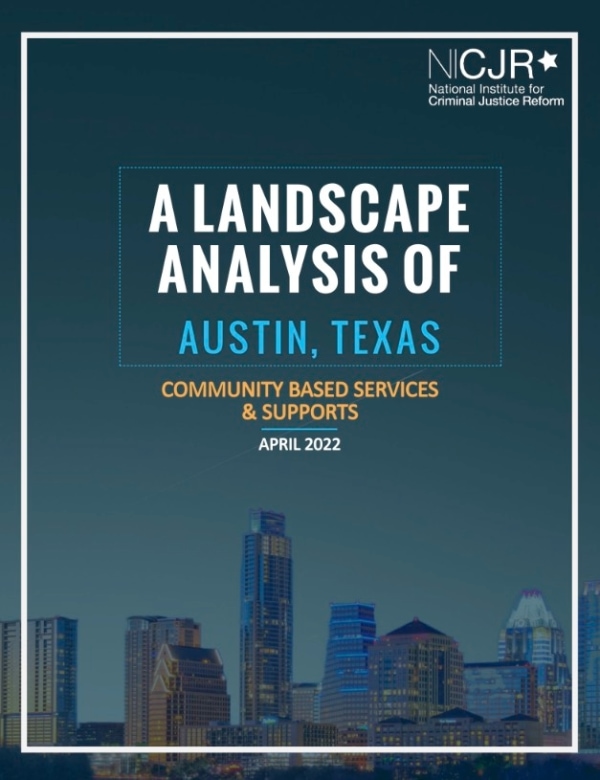 Banner Image of Austin Landscape Analysis