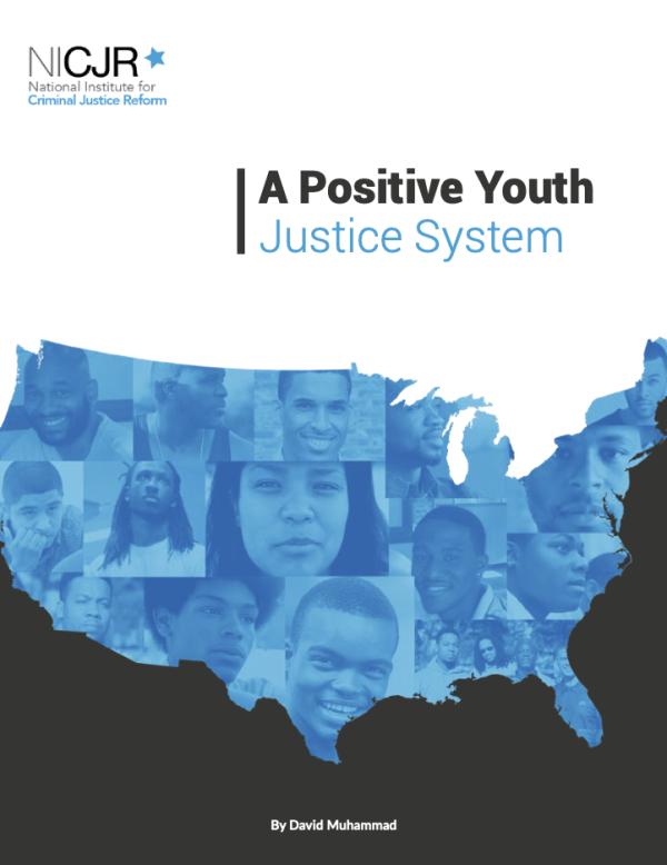 Banner Image of A Positive Youth Justice System