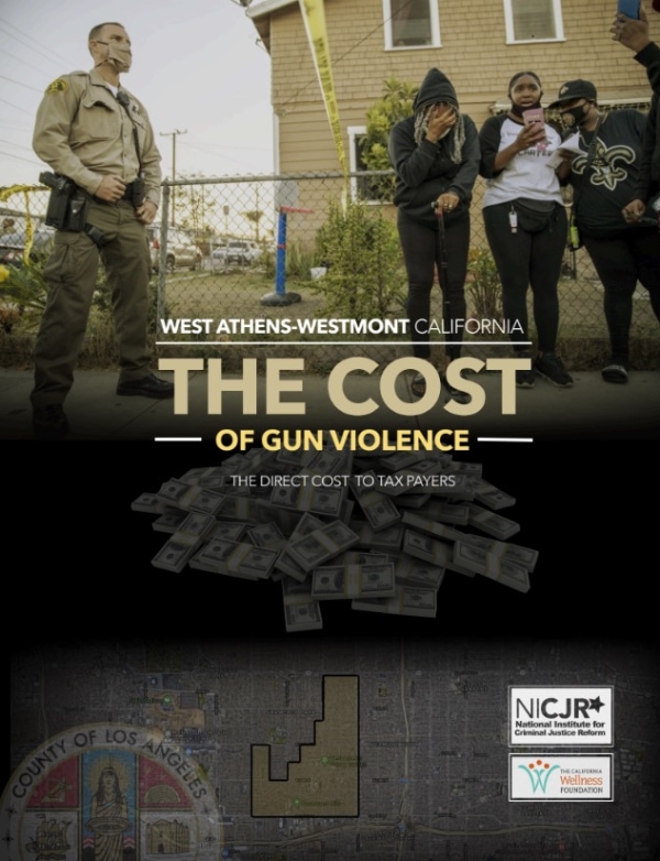 Banner Image of West Athens-Westmont, CA: Cost of Gun Violence