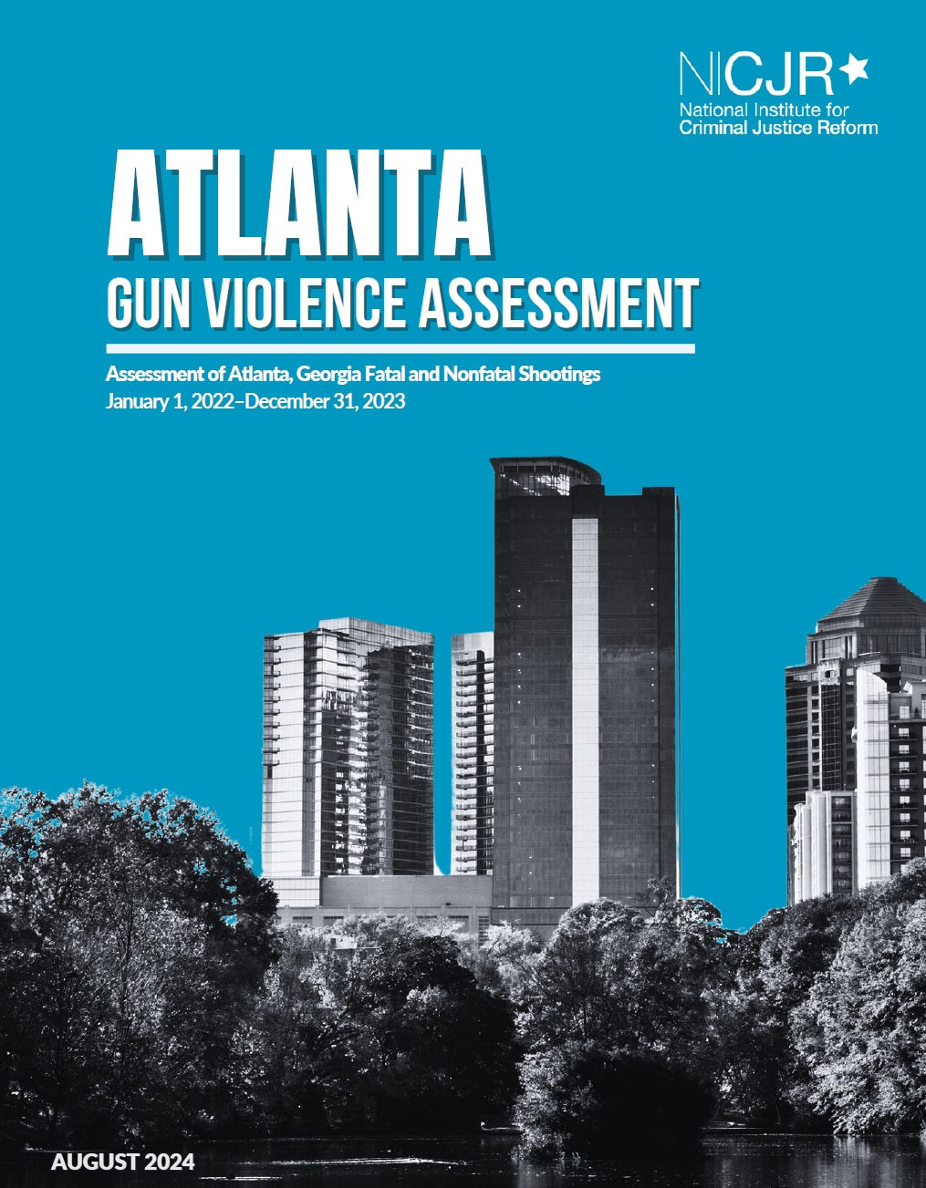 Thumbnail for Atlanta Gun Violence Assessment