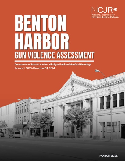 Thumbnail for Benton Harbor Gun Violence Assessment