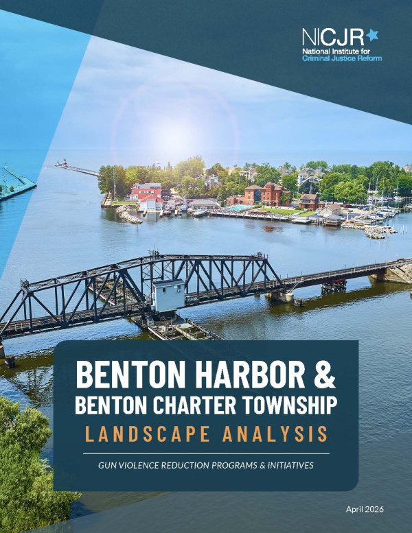 Banner Image of Benton Harbor Landscape Analysis