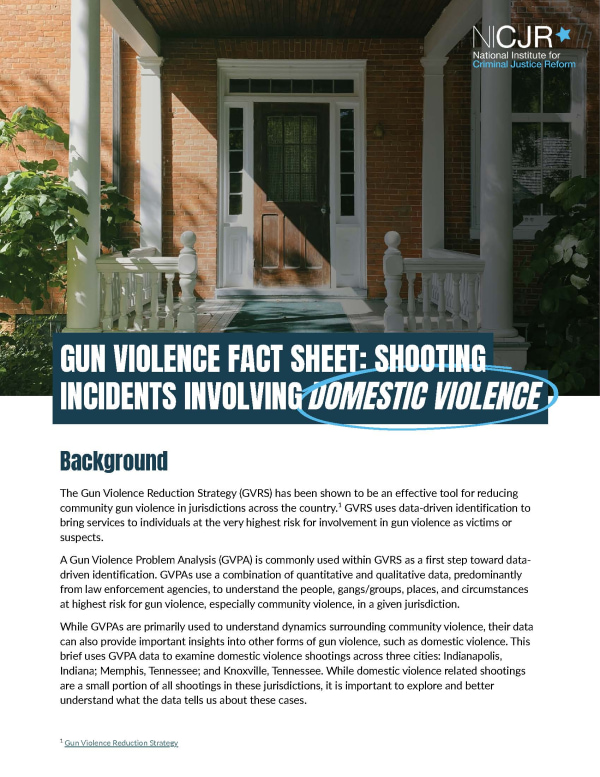 Banner Image of Gun Violence Fact Sheet: Shooting Incidents Involving Domestic Violence