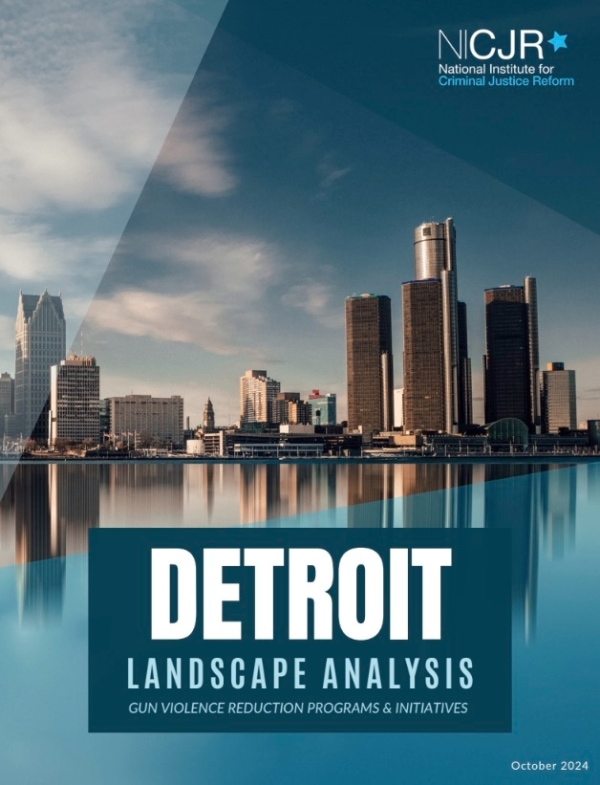 Banner Image of Detroit Landscape Analysis