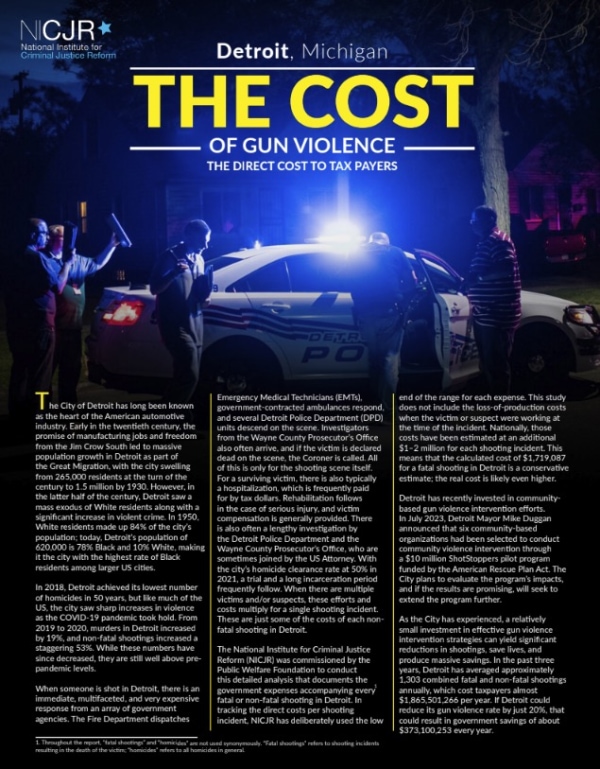 Banner Image of Detroit, MI: Cost of Gun Violence
