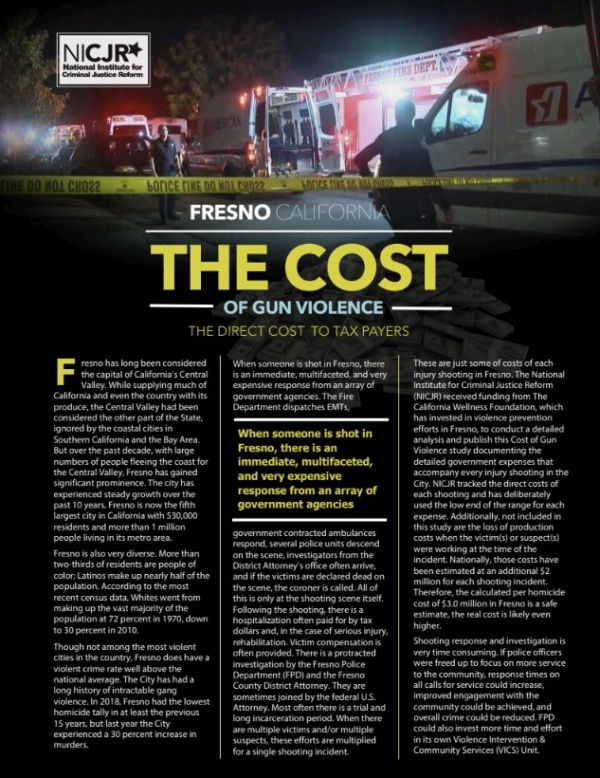 Banner Image of Fresno, CA: Cost of Gun Violence