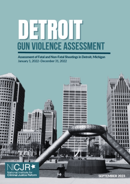 Thumbnail for Detroit Gun Violence Assessment