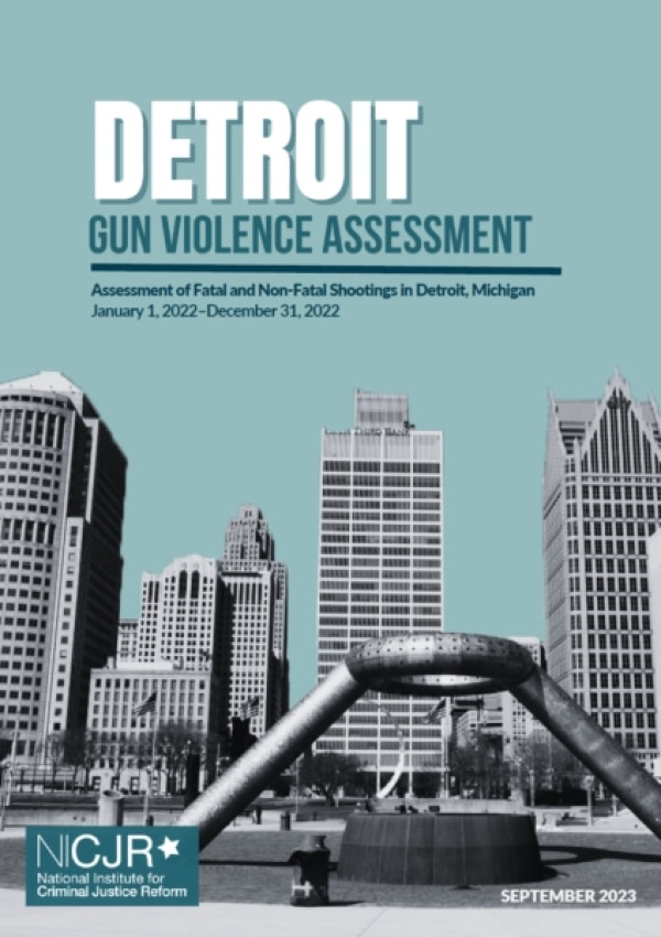 Banner Image of Detroit Gun Violence Assessment