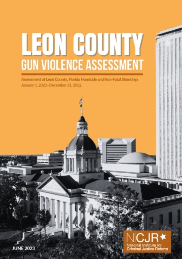 Banner Image of Leon County Gun Violence Assessment