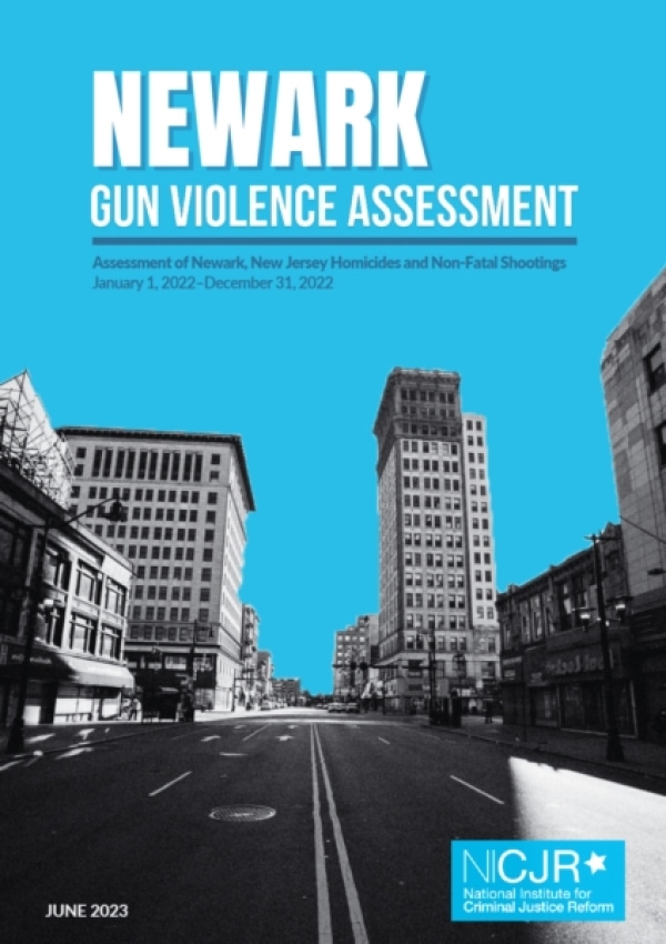 Banner Image of Newark Gun Violence Assessment