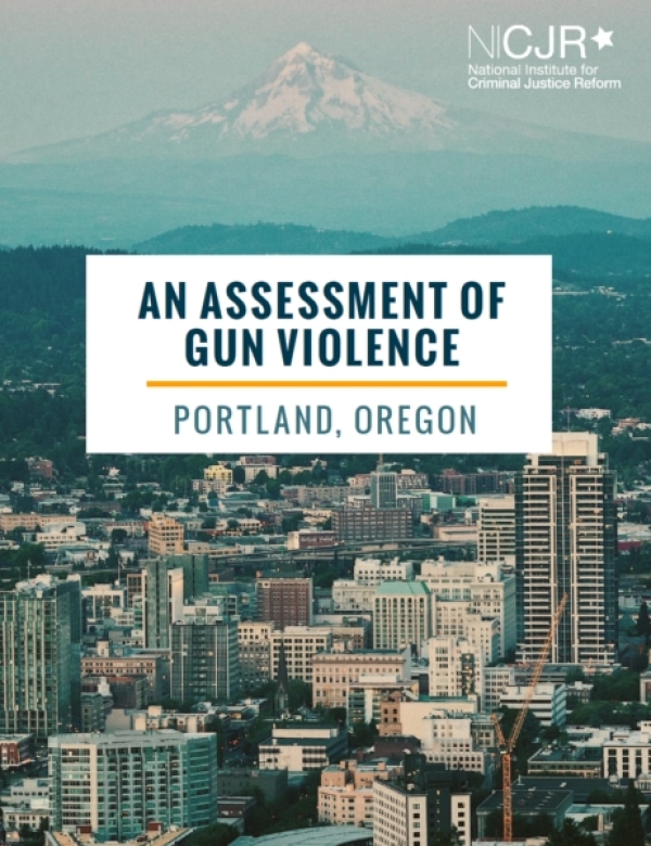 Banner Image of Portland Gun Violence Assessment