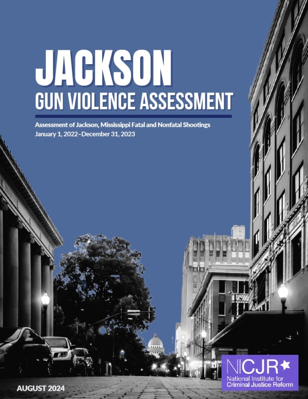Banner Image of Jackson Gun Violence Assessment