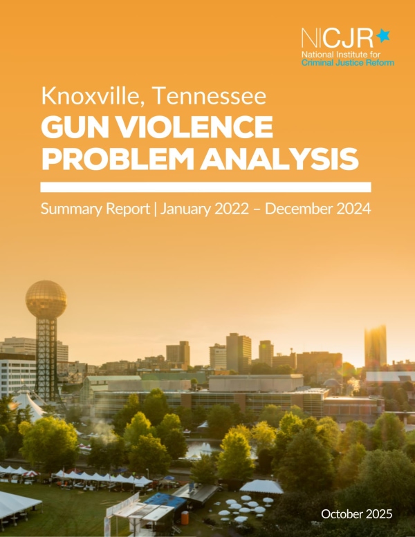 Banner Image of Knoxville Gun Violence Problem Analysis