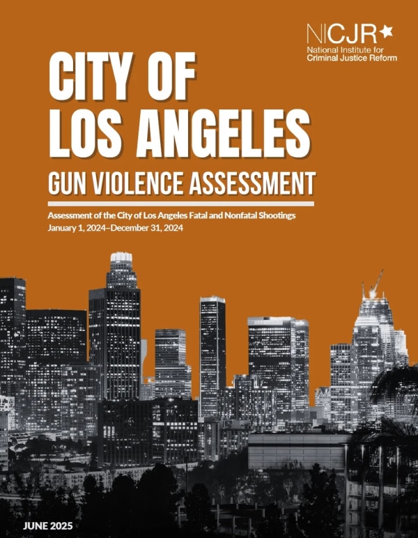 Banner Image of City of Los Angeles Gun Violence Assessment
