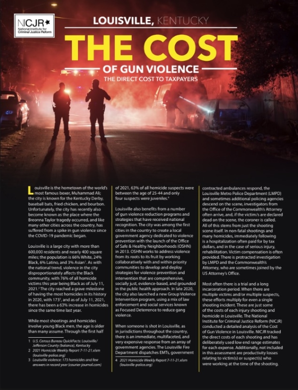 Banner Image of Louisville, KY: Cost of Gun Violence