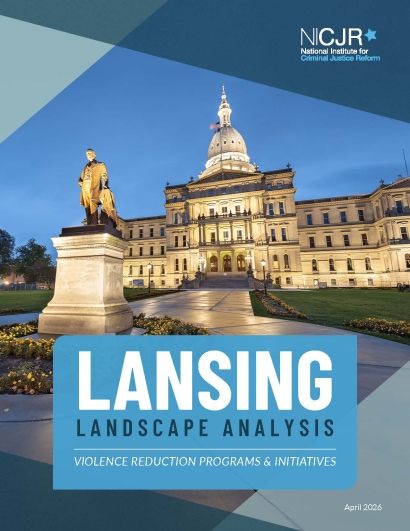 Thumbnail for Lansing Landscape Analysis