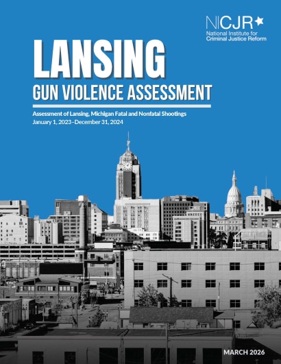 Thumbnail for Lansing Gun Violence Assessment