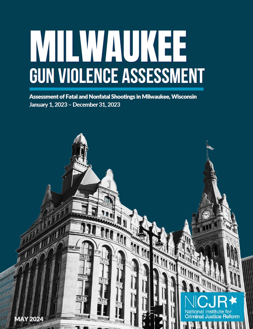 Thumbnail for Milwaukee Gun Violence Assessment