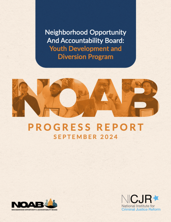 Banner Image of Neighborhood Opportunity and Accountability Board (NOAB) Progress Report: 2024
