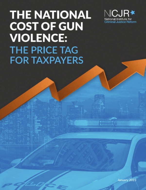 Banner Image of The National Cost of Gun Violence: The Price Tag for Taxpayers
