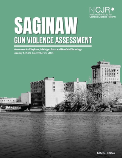 Thumbnail for Saginaw Gun Violence Assessment