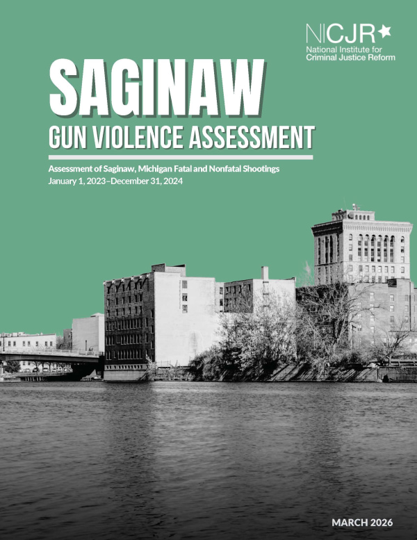 Banner Image of Saginaw Gun Violence Assessment