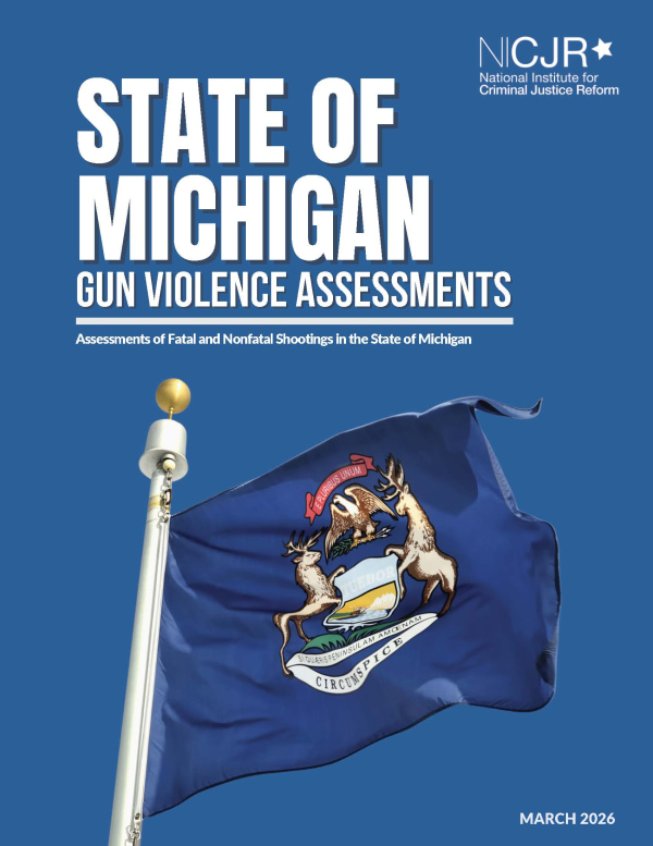 Banner Image of State of Michigan Gun Violence Assessment