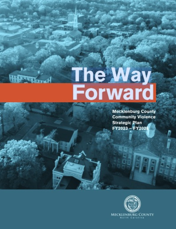Banner Image of The Way Forward: Mecklenburg County Community Violence Strategic Plan