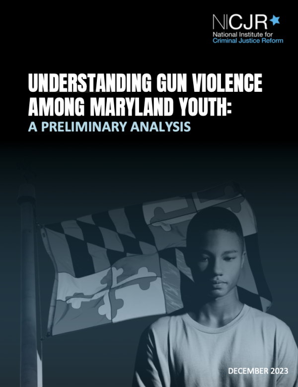 Banner Image of Understanding Gun Violence Among Maryland Youth: A Preliminary Analysis