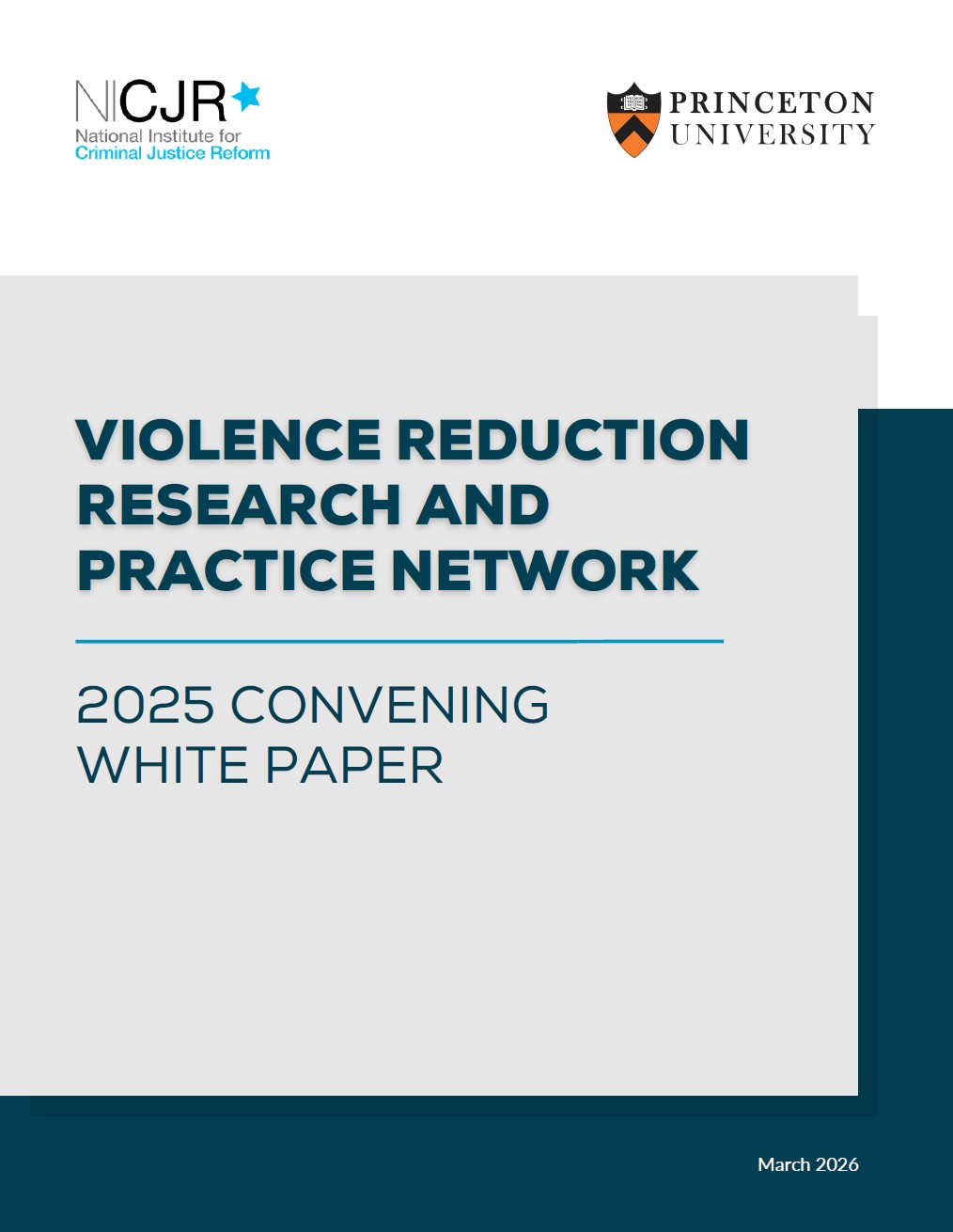 Thumbnail for Violence Reduction Research and Practice Network - 2025 Convening White Paper
