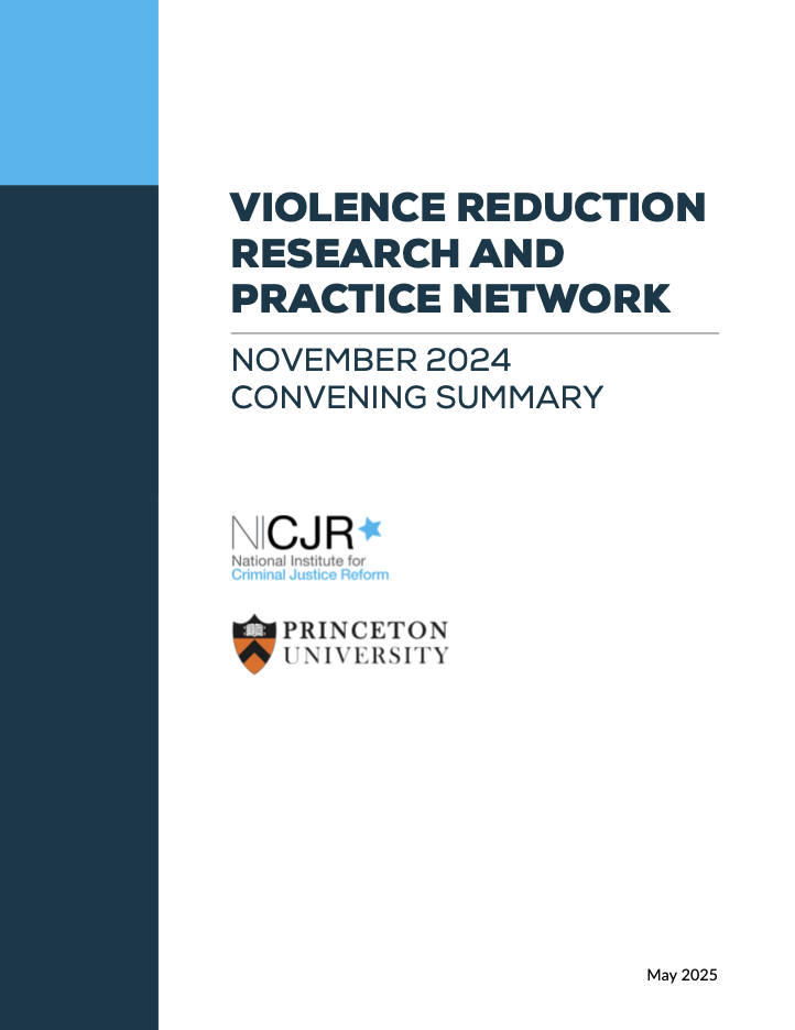 Thumbnail for Violence Reduction Research and Practice Network: November 2024 Convening Summary