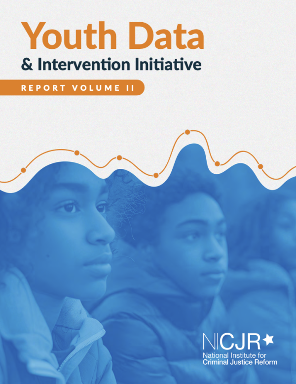 Banner Image of Youth Data & Intervention Initiative: Report Volume II