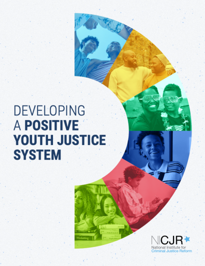 Thumbnail for Developing a Positive Youth Justice System