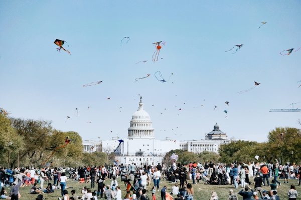 Banner Image of Violent crime in D.C. dropped in 2024. What's behind the decrease?